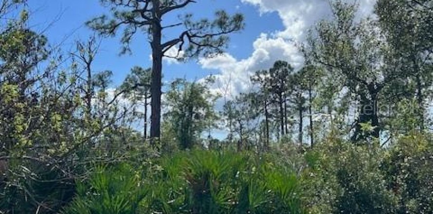 Land in Port Charlotte, Florida № 2165187