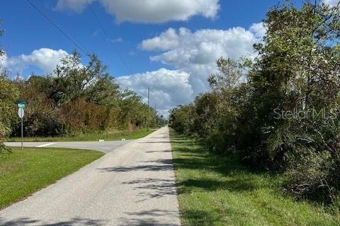Land in Port Charlotte, Florida № 2165187 - photo 2