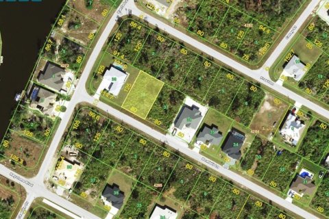 Land in Port Charlotte, Florida № 2160167 - photo 3