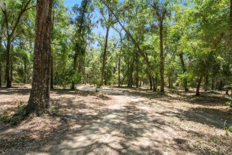 Terreno en venta en Floral City, Florida № 1786104 - foto 2