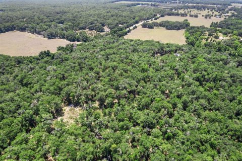 Terreno en venta en Floral City, Florida № 1786104 - foto 1