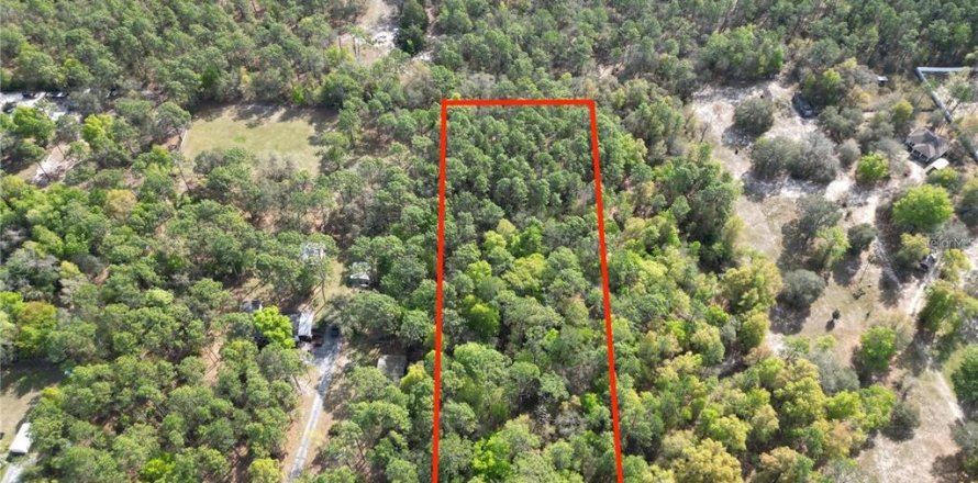 Terrain à Dunnellon, Floride № 2389298
