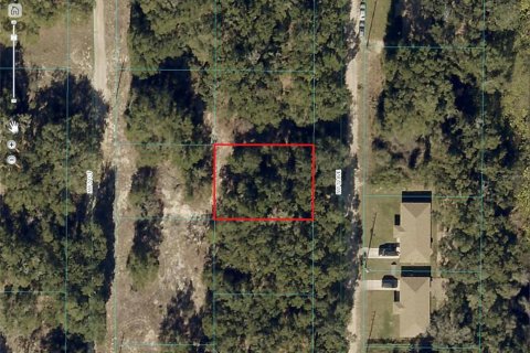 Land in Ocala, Florida № 2162676