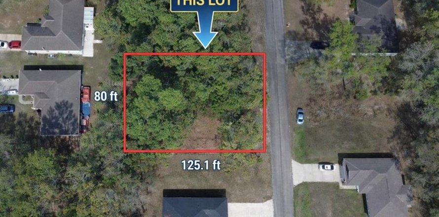Terrain à Dunnellon, Floride № 2212634
