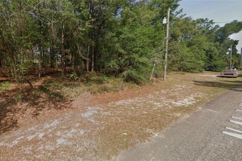 Terrain à vendre à Dunnellon, Floride № 2212634 - photo 4