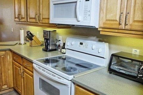 Condo in Land O' Lakes, Florida, 2 bedrooms  № 1535700 - photo 13