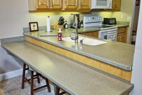 Condo in Land O' Lakes, Florida, 2 bedrooms  № 1535700 - photo 16