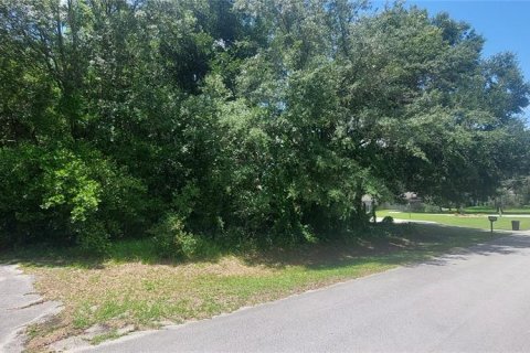 Terreno en venta en Summerfield, Florida № 1277018 - foto 5