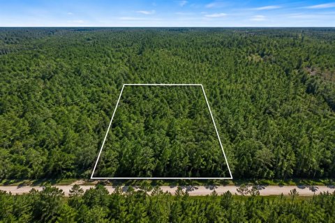 Land in Hastings, Florida № 2280443