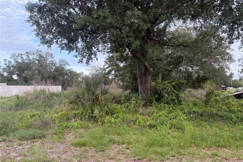 Land in North Port, Florida № 2159559 - photo 3