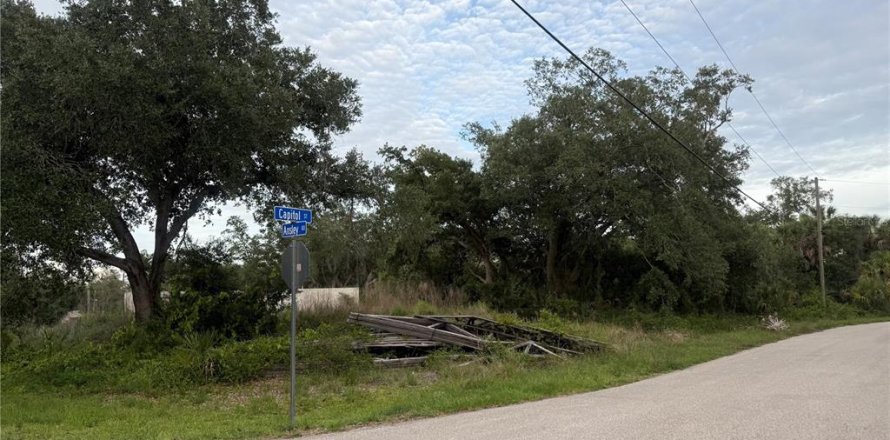 Land in North Port, Florida № 2159559