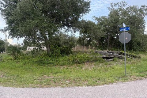 Land in North Port, Florida № 2159559 - photo 2