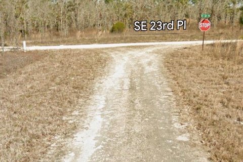 Terrain à vendre à Morriston, Floride № 2388201 - photo 5