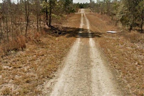 Terrain à vendre à Morriston, Floride № 2388201 - photo 3