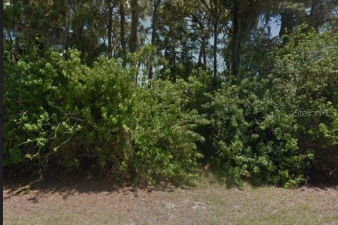 Land in Rotonda, Florida № 1810051 - photo 8