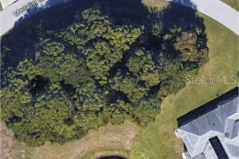 Land in Rotonda, Florida № 1810051 - photo 1