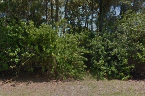 Land in Rotonda, Florida № 1810051 - photo 4
