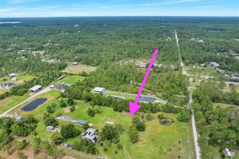 Terreno en New Smyrna Beach, Florida № 2215827