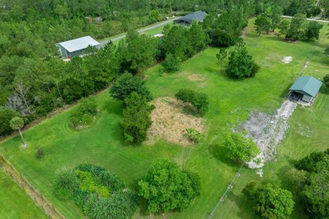 Land in New Smyrna Beach, Florida № 2215827 - photo 24