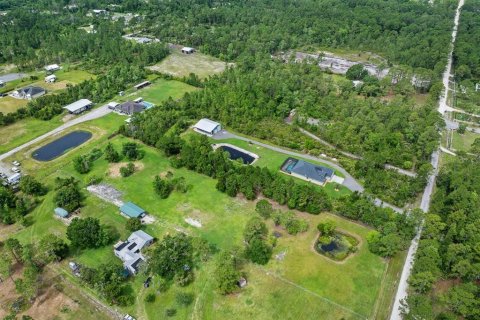Land in New Smyrna Beach, Florida № 2215827 - photo 6