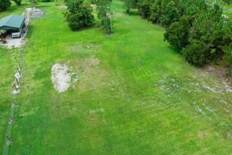 Land in New Smyrna Beach, Florida № 2215827 - photo 20