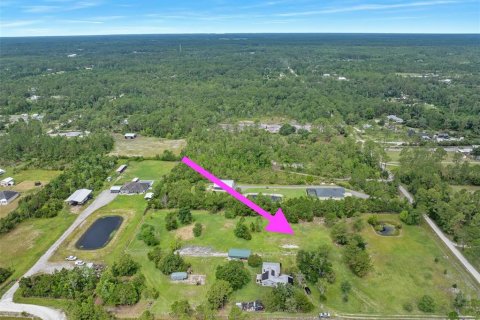 Land in New Smyrna Beach, Florida № 2215827 - photo 3