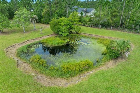 Land in New Smyrna Beach, Florida № 2215827 - photo 18