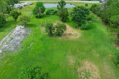 Land in New Smyrna Beach, Florida № 2215827 - photo 21