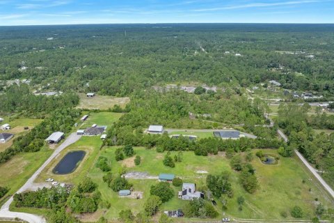 Land in New Smyrna Beach, Florida № 2215827 - photo 8