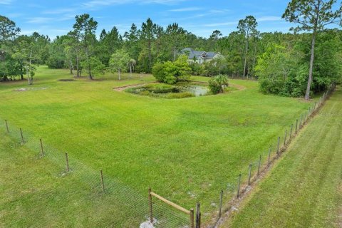 Land in New Smyrna Beach, Florida № 2215827 - photo 17