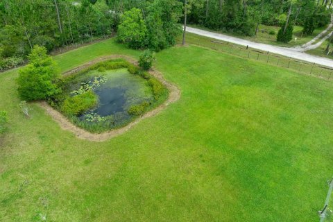 Land in New Smyrna Beach, Florida № 2215827 - photo 19