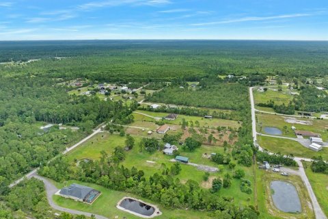 Land in New Smyrna Beach, Florida № 2215827 - photo 13