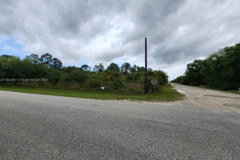 Land in Clewiston, Florida № 1836093 - photo 2