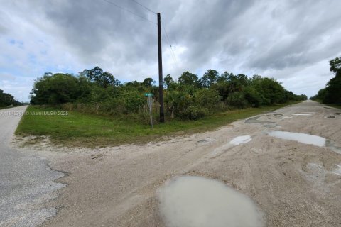 Land in Clewiston, Florida № 1836093 - photo 7