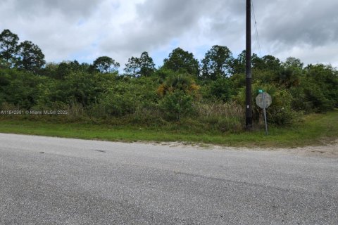 Land in Clewiston, Florida № 1836093 - photo 4