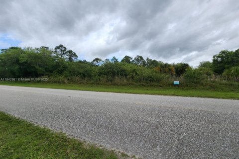 Land in Clewiston, Florida № 1836093 - photo 6