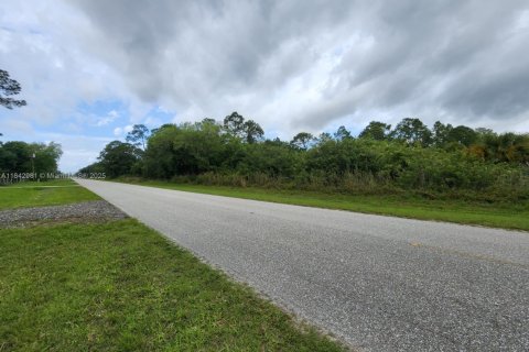 Land in Clewiston, Florida № 1836093 - photo 5