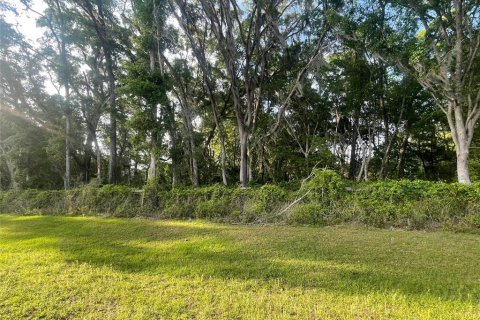 Casa en alquiler en Newberry, Florida, 4 dormitorios, 297.47 m2 № 1538787 - foto 29