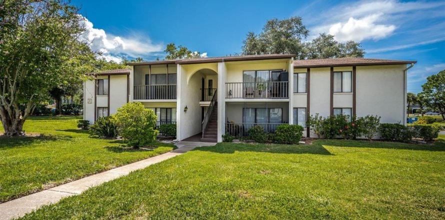 Condo in Palm Harbor, Florida, 2 bedrooms  № 2226194