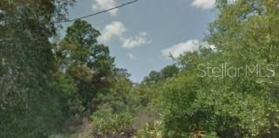 Terrain à New Port Richey, Floride № 2228565
