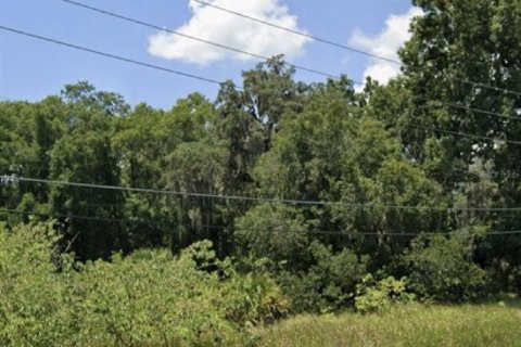 Land in Belleview, Florida № 1563622 - photo 4