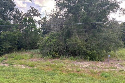 Terreno en venta en Belleview, Florida № 1563622 - foto 7