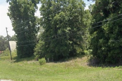 Land in Belleview, Florida № 1563622 - photo 5