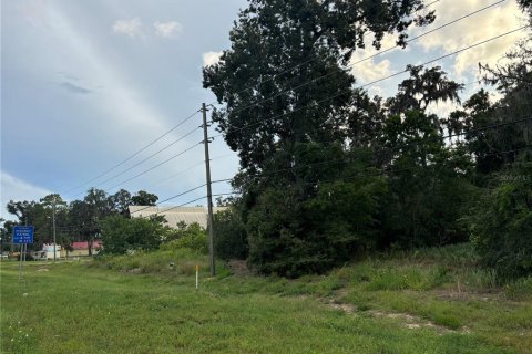 Land in Belleview, Florida № 1563622 - photo 6