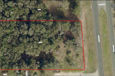 Land in Belleview, Florida № 1563622 - photo 2