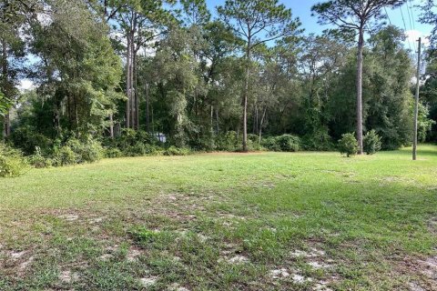 Terrain à vendre à Apopka, Floride № 2095673 - photo 7