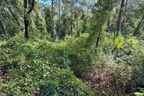Terrain à vendre à Apopka, Floride № 2095673 - photo 6