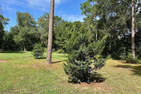 Terrain à vendre à Apopka, Floride № 2095673 - photo 5