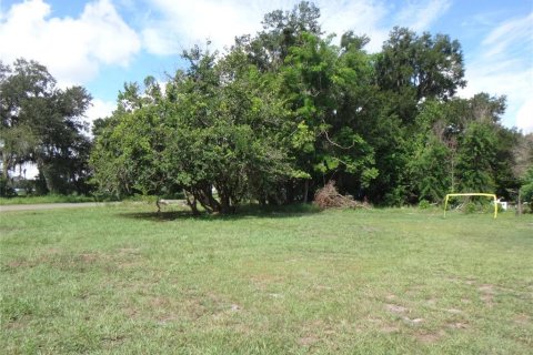Land in Fort Meade, Florida № 2348223