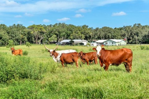 Land in Lakeland, Florida № 1907312 - photo 22